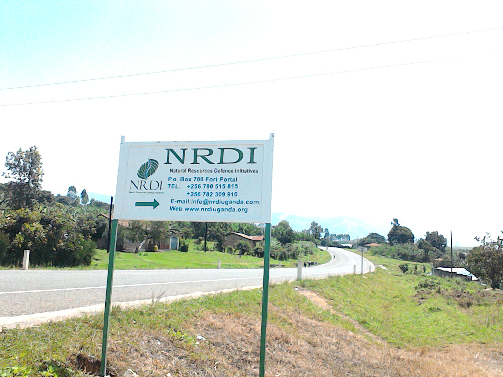 Portrait of the Executive Director of NRDI